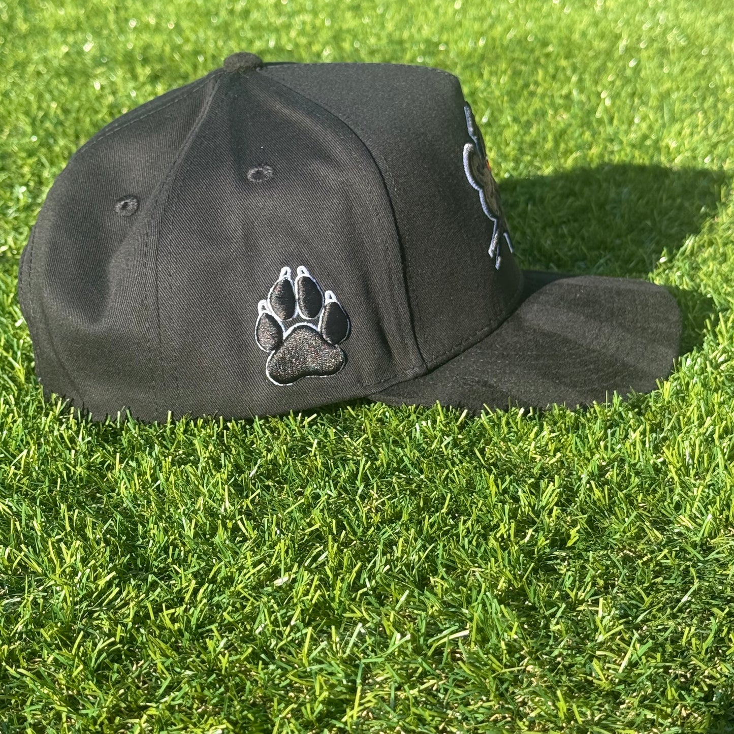Black Panther Hat