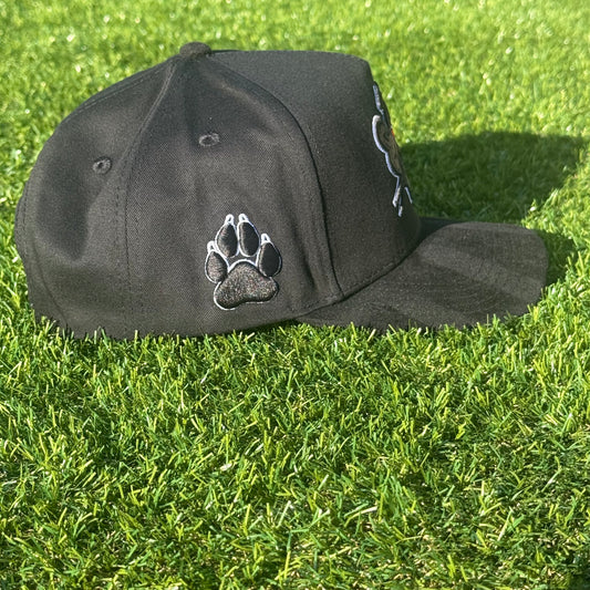 Black Panther Hat