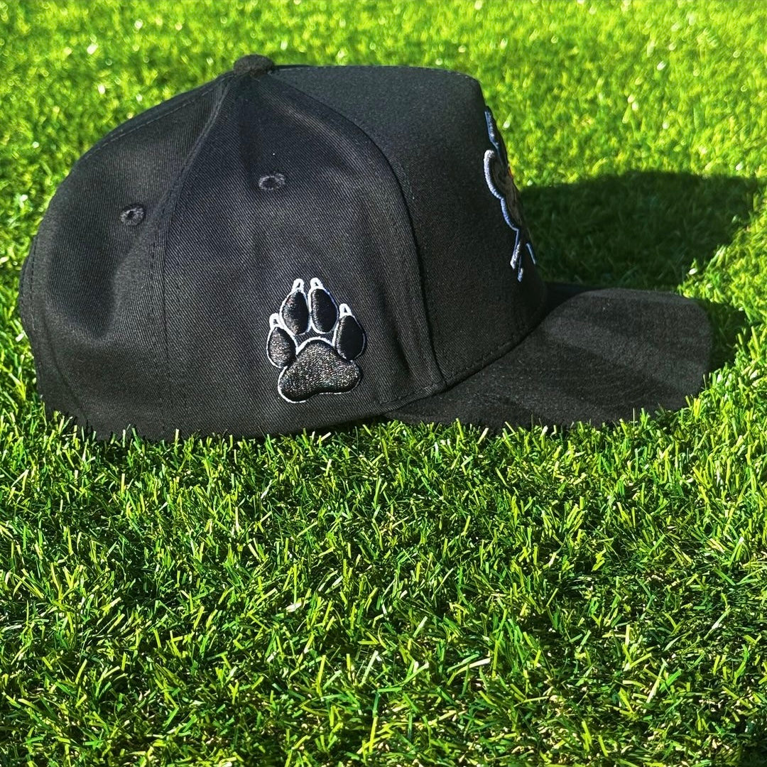 Black Panther Hat