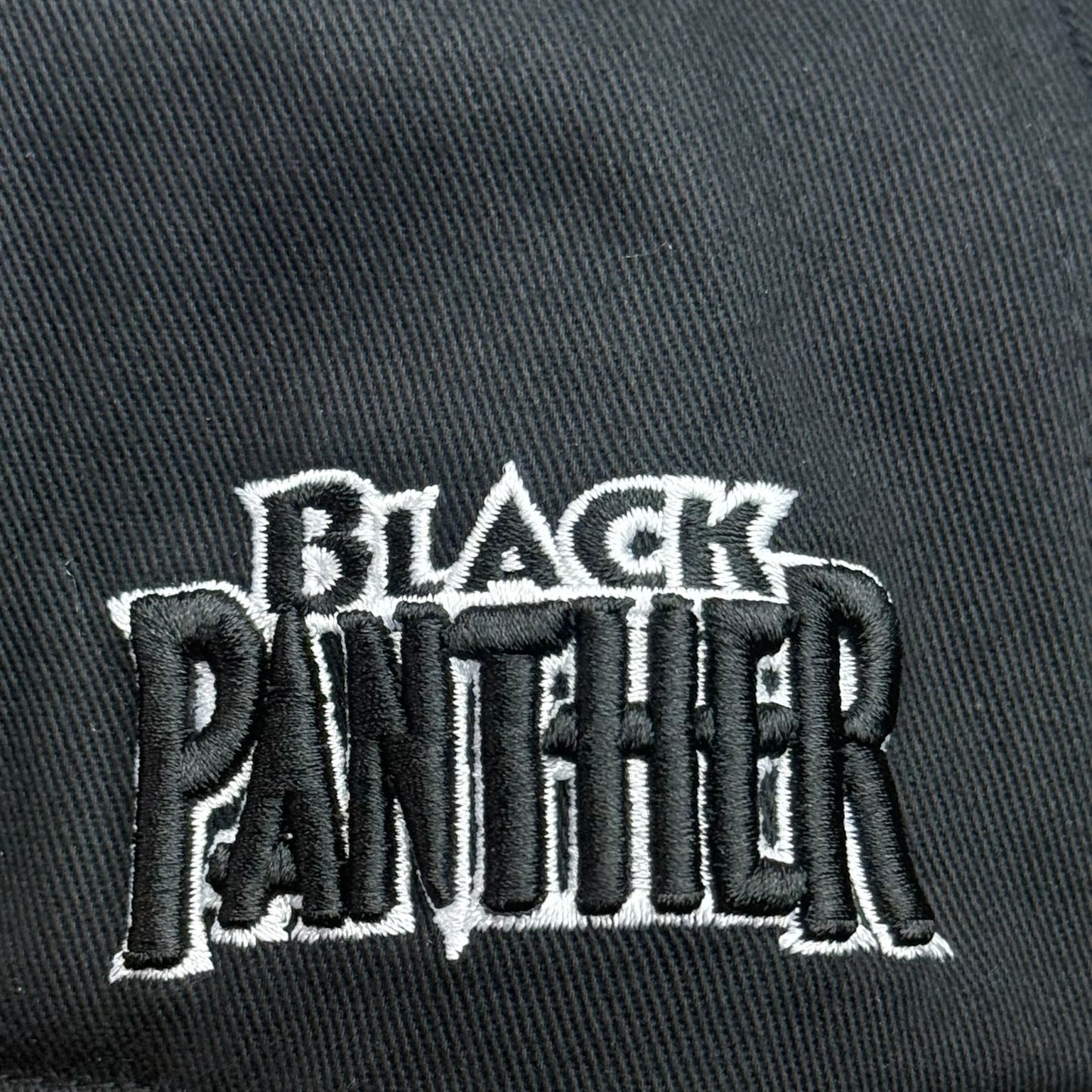 Black Panther Hat